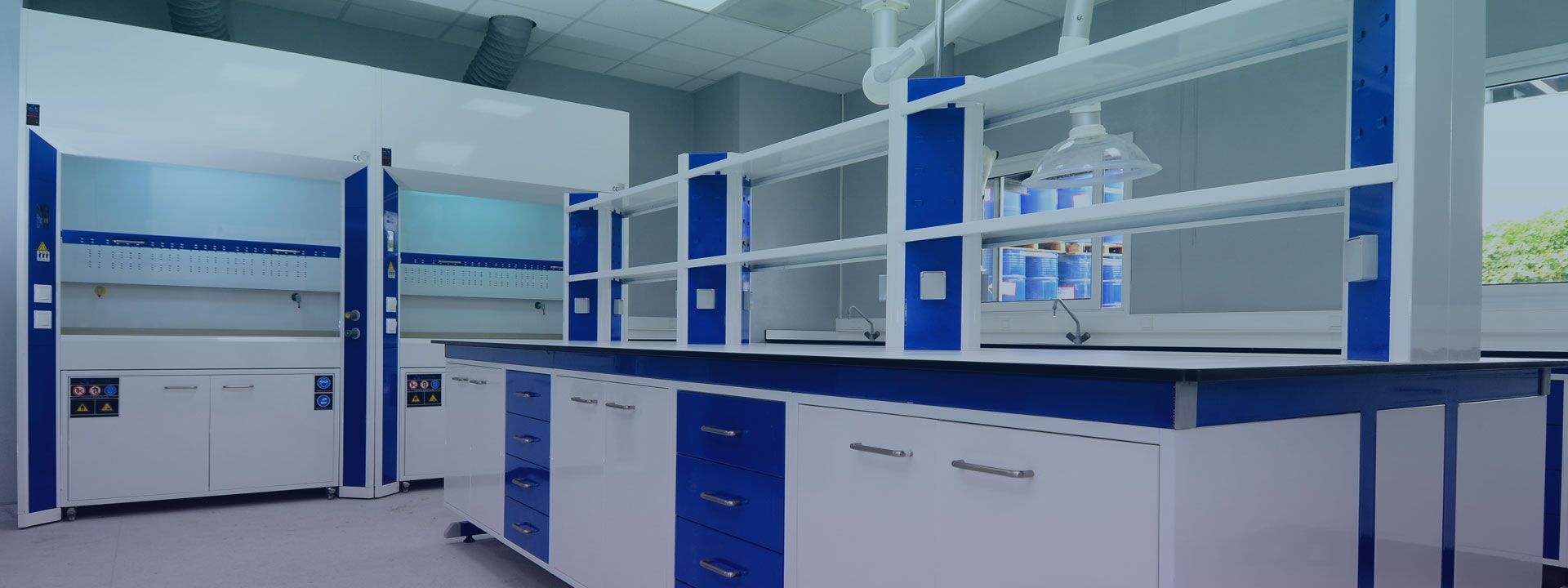 Laboratory Furnishings and Systems